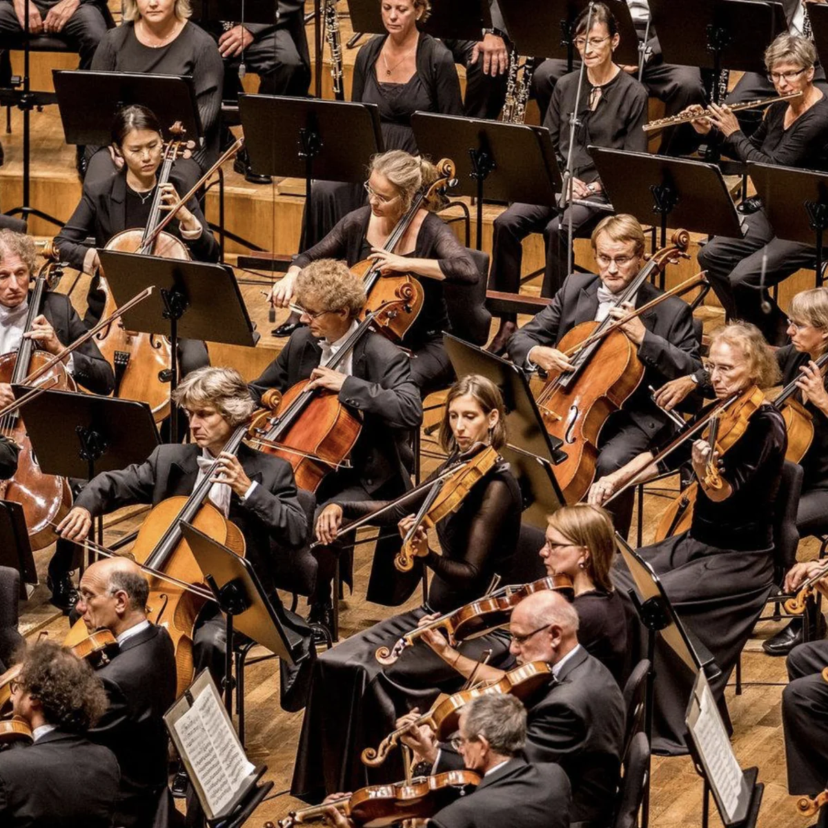 MDR-Sinfonieorchester